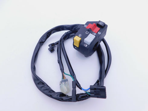 HONDA LEFT LIGHTING AND STARTER SWITCH ASSY 2018-2021 TRX250X OEM 35150-HN6-A53